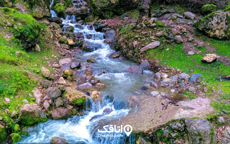 چشمههای جاری دشت النزه