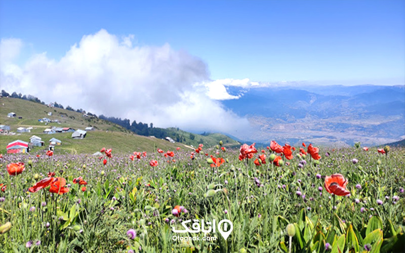 ییلاق سلانسر کجاست