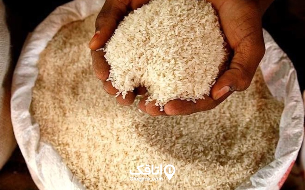 تصویری از برنج آستانه در دستان یک شخص