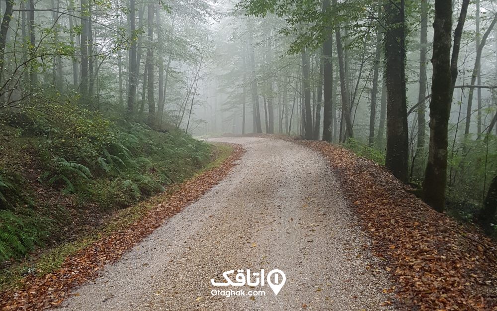 جاده زیبایی که دروازه ورود به آبشار گزو است.