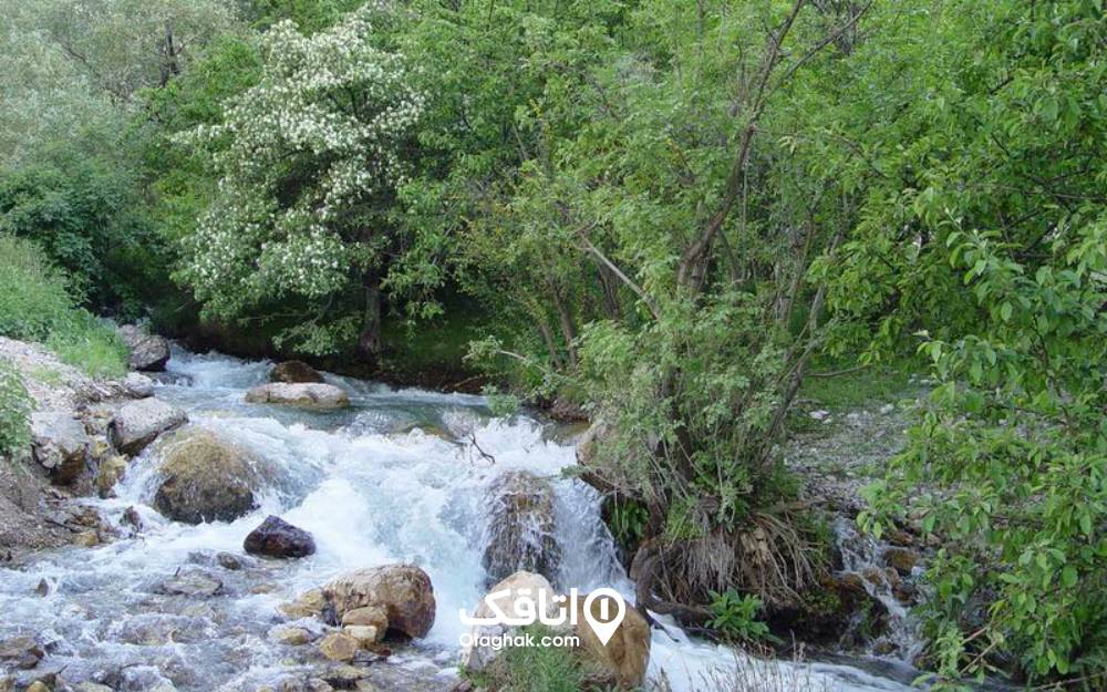 رودخانه کنار آبشار طرزه