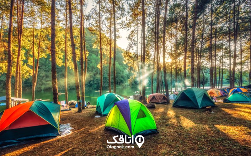 اقامت در جنگل النگدره