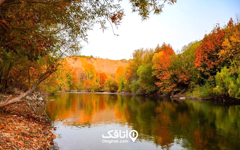 باغ بهادران