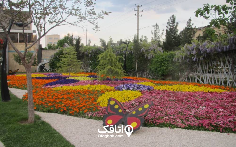 گلهای رنگارنگ در باغ گل مشهد