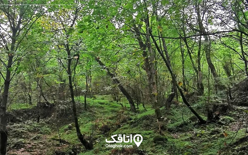 دیدنیهای اطراف آبشار چلندر
