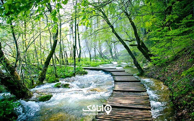 رودخانه قلاشی و چشمههای اطراف آن