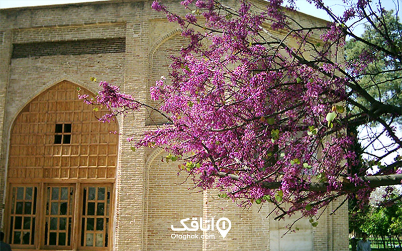 سفر به شیراز در فصل بهار