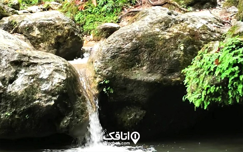 نکات مهم برای سفر به آبشار چلندر
