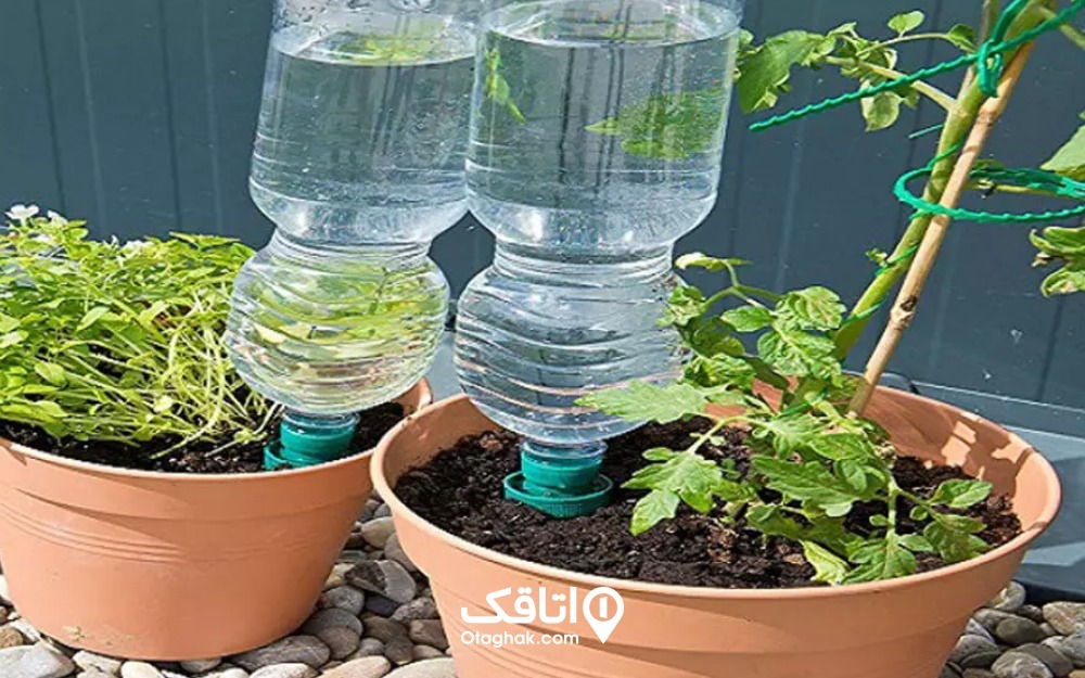 بطری آب وارونه روشی مقرون‌به‌صرفه برای آبیاری گیاهان در مسافرت
