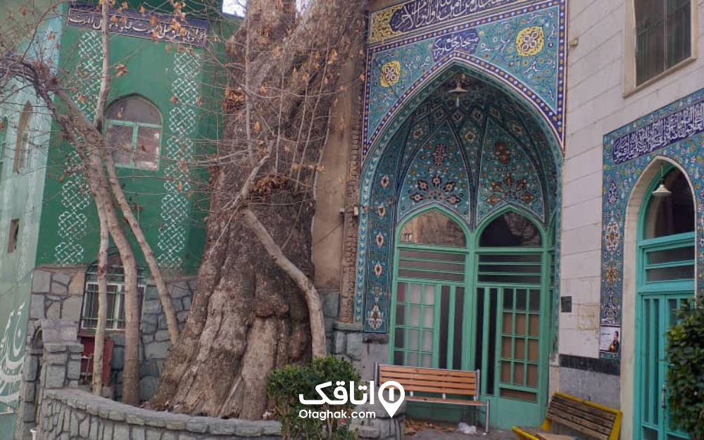 نمای ورودی مسجد محله درکه و درخت تنومندش