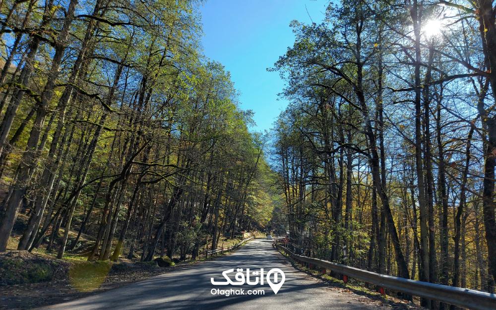 نمایی از جاده عباس آباد به کلاردشت در روز