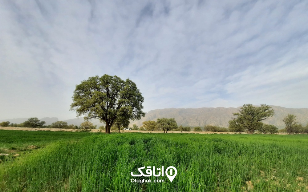 نمایی از دشت‌های اطراف جاده شیراز به کازرون، از زیباترین جاده های ایران