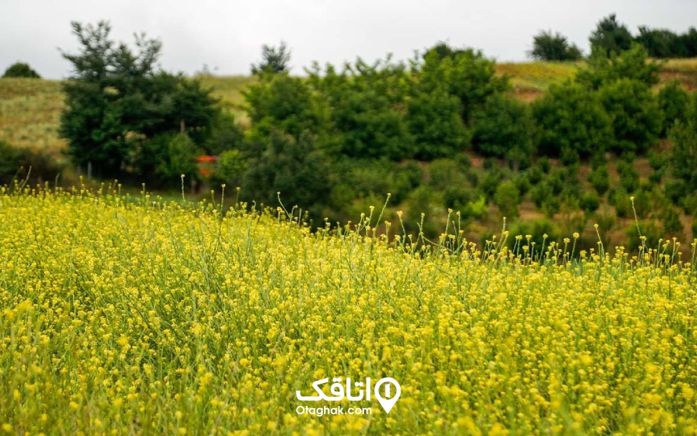 روستای حیرت‌انگیز داماش در نزدیکی دریاچه خلشکوه جیرنده