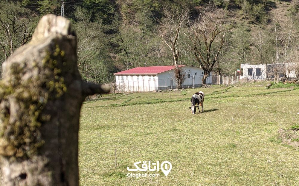 روستای زیبای بلوردکان در نزدیکی دریاچه ملاط لنگرود