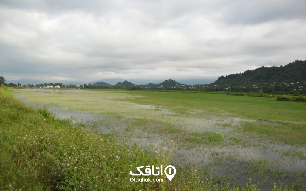 دریاچه زیبای ملاط لنگرود در شهرستان لنگرود گیلان قرار دارد. 