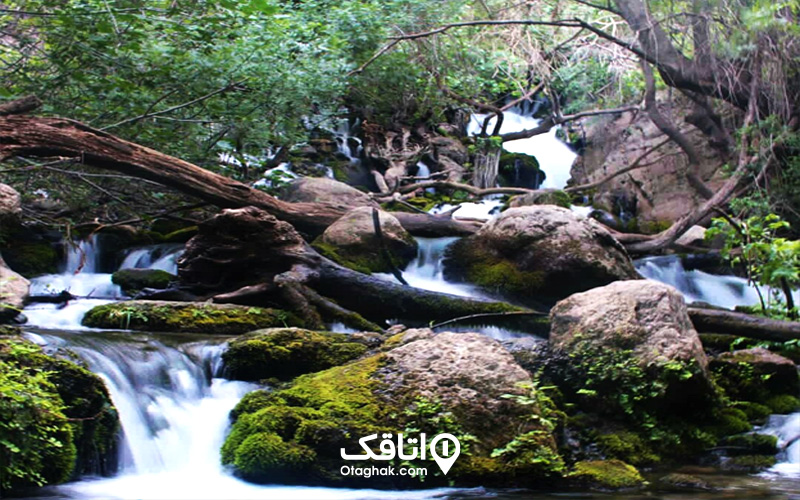 آبشار دم اسب