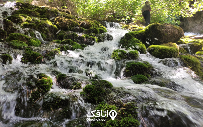آبشار کوهمره سرخی