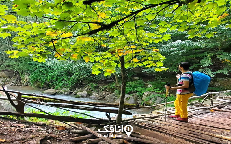 بهترین زمان برای سفر به دره جنگلی سرپوش تنگه