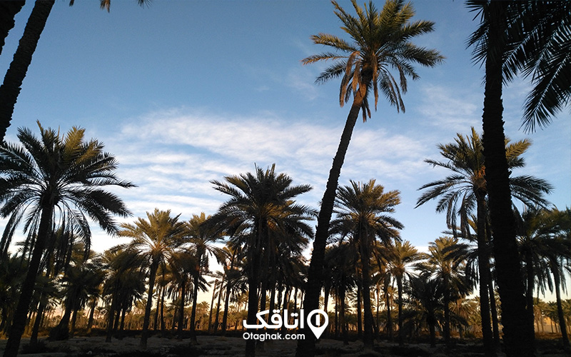 زرین دشت