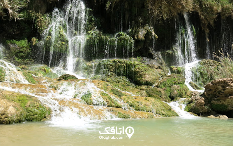 فدامی