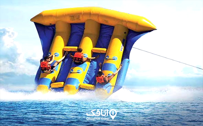فلای فیش