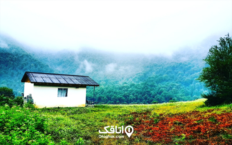 مسیر جنگل لاویج