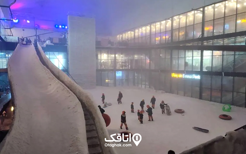 سرزمین برفی پنگوئن