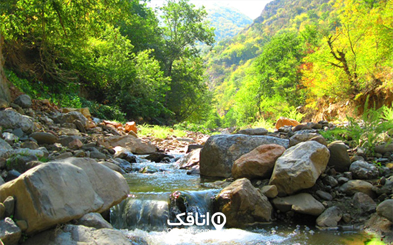 چشمه نیلبرگ