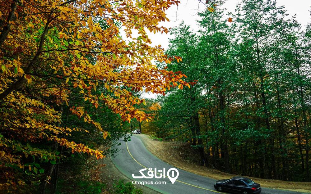 جاده رویایی اسالم به خلخال، یکی از زیباترین جاده‌های ایران و جاهای دیدنی گیلان در پاییز