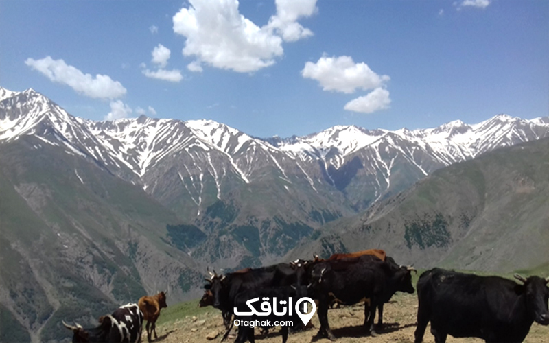 آب‌وهوای روستای دلیر