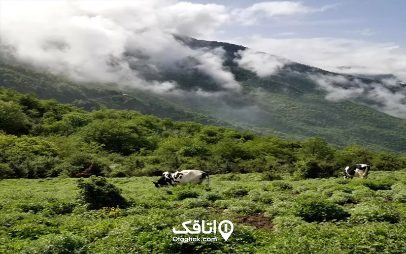 بهترین مسیرهای طبیعت گردی در ایران