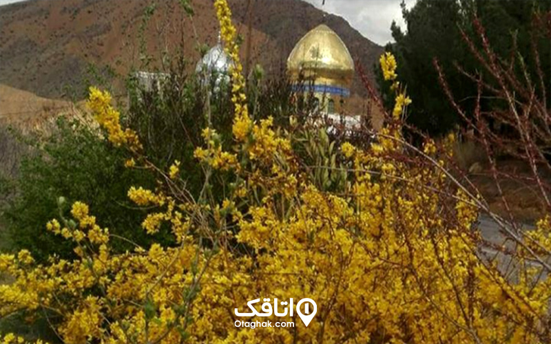 بارگاه امامزاده شاهزاده محمود (ع)