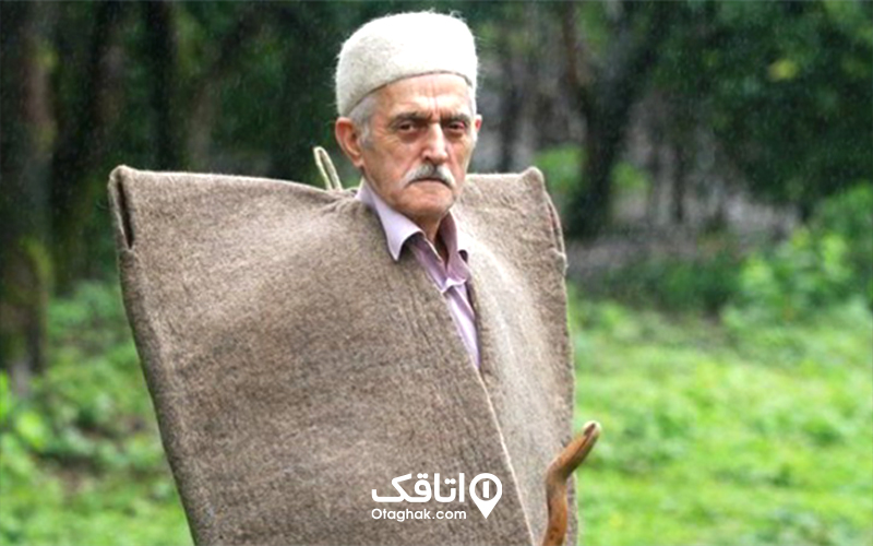 بوشلوق و شولا