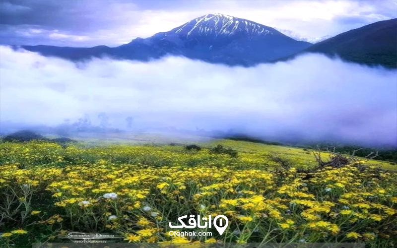 روستای فشکور کجاست