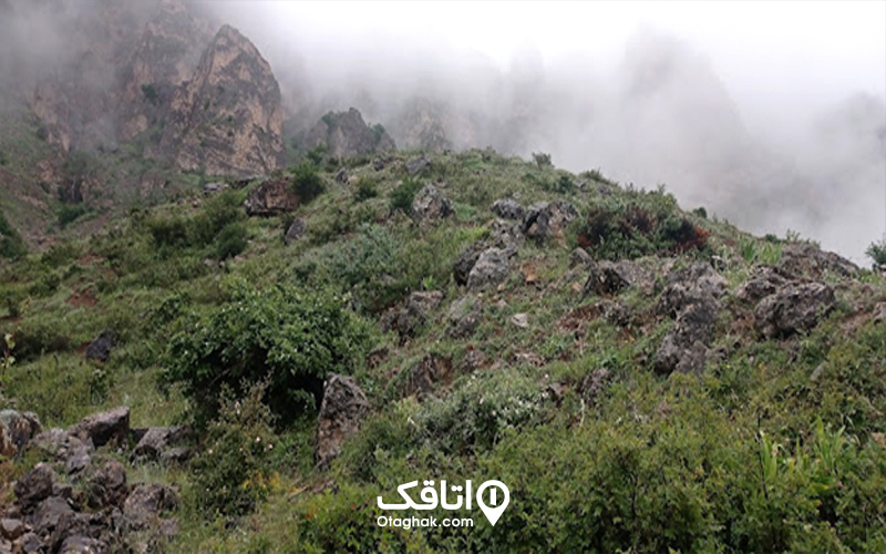فعالیتهایی که میتوان در آبشار هریجان انجام داد