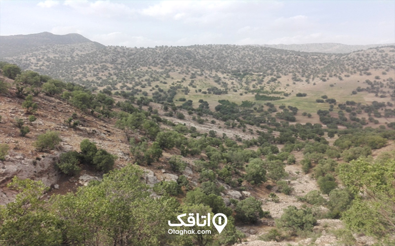 فعالیتهایی که میتوان در تنگه ارغوان انجام داد