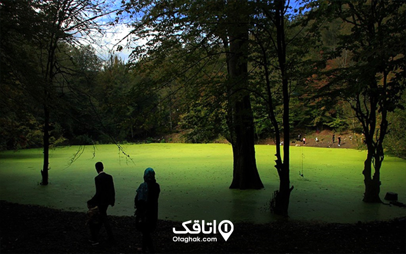 مرداب هسل چالوس