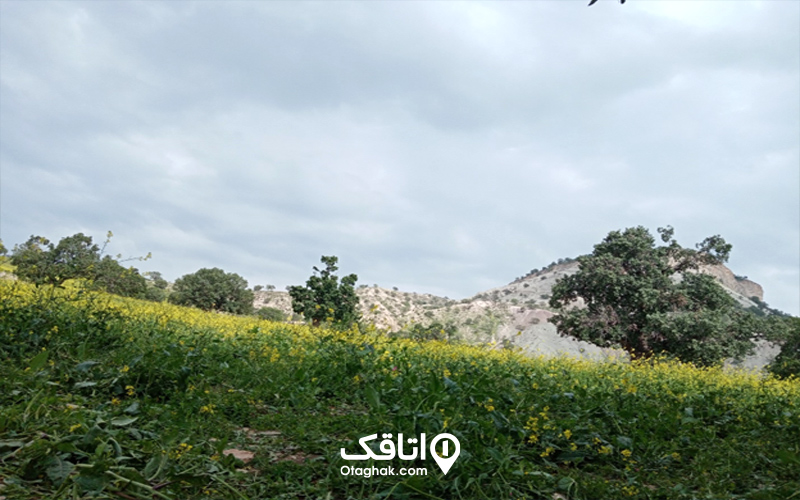 منجل و ششدار