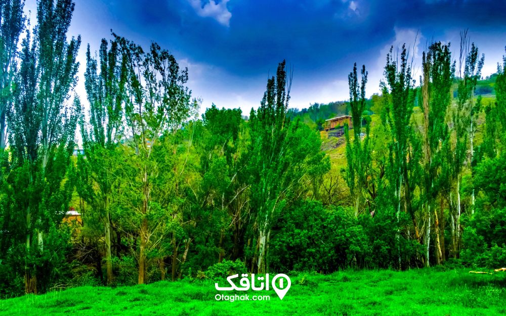 نمایی از ییلاق دیوین همدان در روز