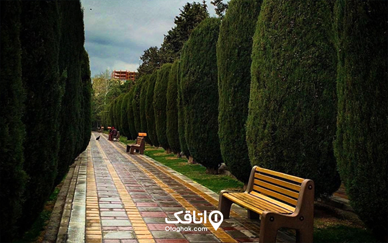 باغ ژاپنی