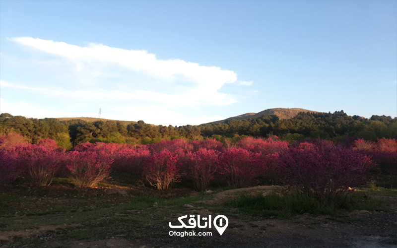 ساعت و نکات بازدید از پارک سرخه حصار
