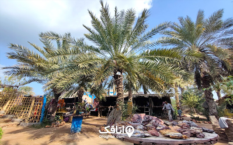 مزرعه و کافه ارگانیک سلیدون