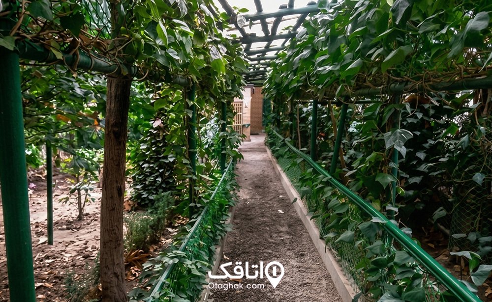 باغ و فضای سبز موزه دکتر حسابی