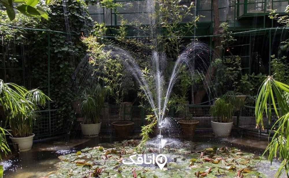 باغ و فضای سبز موزه دکتر حسابی