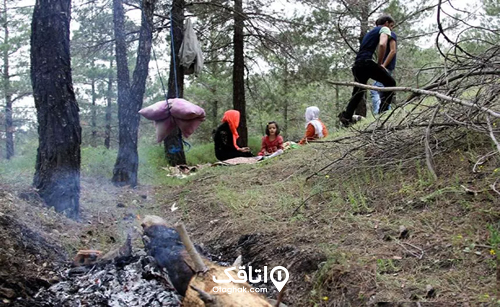 نکاتی برای رفتن به پارک یاس فاطمی