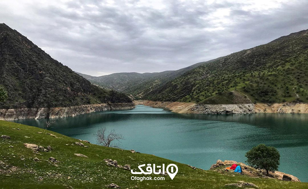 پوشش گیاهی و جانوری دشت هلن
