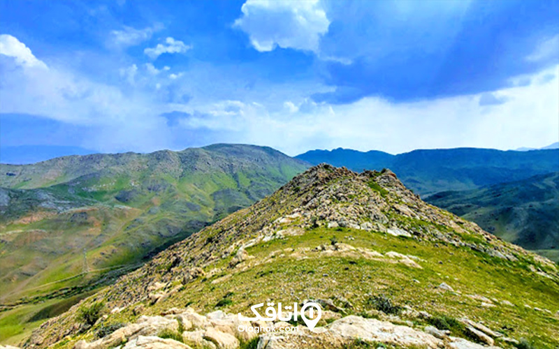 پوشش گیاهی و جانوری پارک سرخه حصار