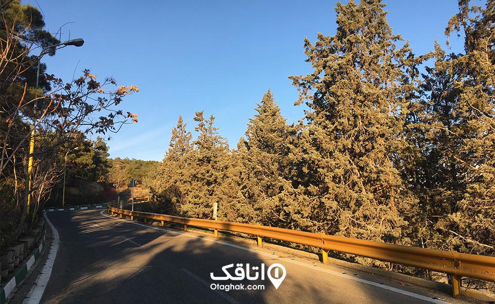 تاریخچه پارک جنگلی لویزان