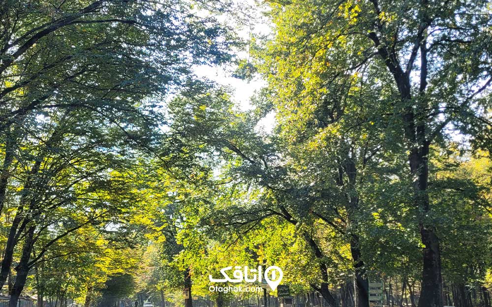 بهترین جاهای دیدنی نوشهر در بهار