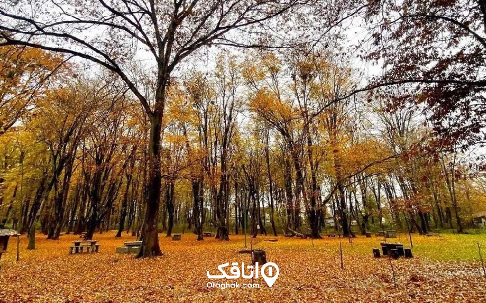 معرفی جاهای دیدنی نوشهر در پاییز